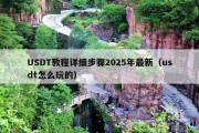 USDT教程详细步骤2025年最新（usdt怎么玩的）