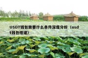 USDT钱包需要什么条件深度分析（usdt钱包搭建）
