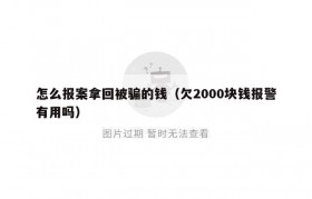 怎么报案拿回被骗的钱（欠2000块钱报警有用吗）