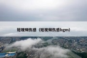 短视频伤感（短视频伤感bgm）
