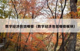 数字经济包括哪些（数字经济包括哪些板块）
