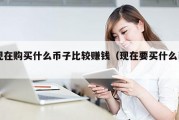 现在购买什么币子比较赚钱（现在要买什么币）
