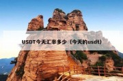 USDT今天汇率多少（今天的usdt）