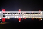 猫咪搞笑视频大全爆笑（猫咪搞笑短视频15秒）