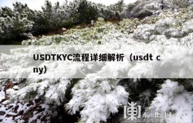 USDTKYC流程详细解析（usdt cny）