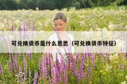 可兑换货币是什么意思（可兑换货币特征）