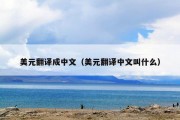 美元翻译成中文（美元翻译中文叫什么）