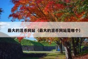 最大的混币网站（最大的混币网站是哪个）