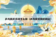 乒乓网乒乓球怎么样（乒乓网官网的网址）