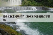 游戏工作室招聘打手（游戏工作室招聘打手要求）