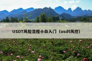 USDT风险流程小白入门（usdt风控）