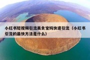 小红书短视频引流美食宝妈快速引流（小红书引流的最快方法是什么）