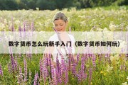 数字货币怎么玩新手入门（数字货币如何玩）