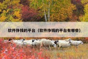 软件挣钱的平台（软件挣钱的平台有哪些）