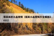很搞笑的小品视频（搞笑小品视频大全爆笑2021）