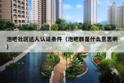 泡吧社区达人认证条件（泡吧群是什么意思啊）