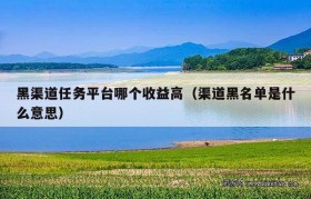 黑渠道任务平台哪个收益高（渠道黑名单是什么意思）