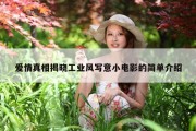 爱情真相揭晓工业风写意小电影的简单介绍