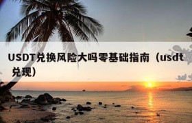 USDT兑换风险大吗零基础指南（usdt 兑现）