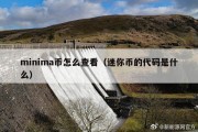 minima币怎么查看（迷你币的代码是什么）