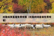 优酷体育直播免费观看（优酷网球直播免费观看）