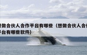 想做合伙人合作平台有哪些（想做合伙人合作平台有哪些软件）