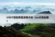 USDT钱包教程深度分析（usdt钱包图）