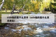 USB指的是什么货币（usb指的是什么货币类型）