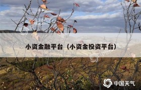 小资金融平台（小资金投资平台）