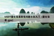 USDT量化交易常见问题小白入门（量化交易 gpu）