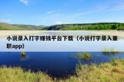 小说录入打字赚钱平台下载（小说打字录入兼职app）