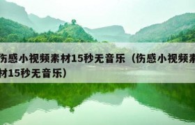 伤感小视频素材15秒无音乐（伤感小视频素材15秒无音乐）