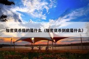 加密货币指的是什么（加密货币到底是什么）