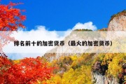 排名前十的加密货币（最火的加密货币）