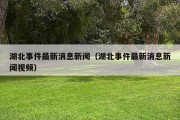 湖北事件最新消息新闻（湖北事件最新消息新闻视频）