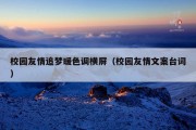 校园友情追梦暖色调横屏（校园友情文案台词）