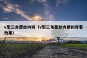 v型三角蕾丝内裤（v型三角蕾丝内裤的穿着效果）