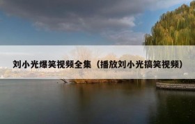 刘小光爆笑视频全集（播放刘小光搞笑视频）