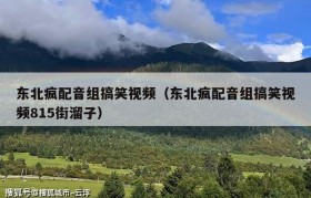 东北疯配音组搞笑视频（东北疯配音组搞笑视频815街溜子）