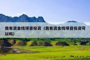 我有资金找项目投资（我有资金找项目投资可以吗）
