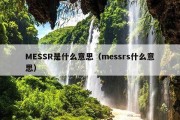 MESSR是什么意思（messrs什么意思）