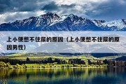 上小便憋不住尿的原因（上小便憋不住尿的原因男性）