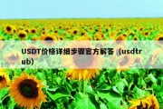 USDT价格详细步骤官方解答（usdtrub）