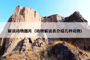 解说动物图片（动物解说员介绍几种动物）