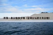 开发一条公链多少钱（全球公认的十大公链）