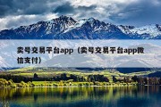 卖号交易平台app（卖号交易平台app微信支付）