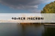 今日u币汇率（今日汇率查询）