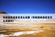 导航搞笑语音包怎么设置（导航搞笑语音包怎么设置的）