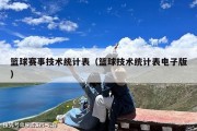 篮球赛事技术统计表（篮球技术统计表电子版）