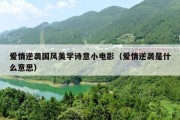 爱情逆袭国风美学诗意小电影（爱情逆袭是什么意思）